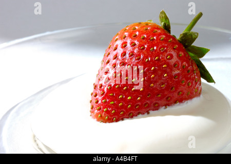 Erdbeere in Creme Stockfoto