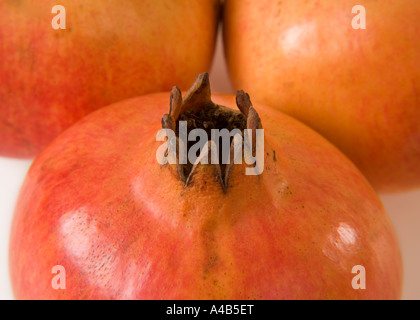 Nahaufnahme der schrägen Ansicht von drei Granatäpfeln, die sich auf einen konzentrieren Obst auf weißem Hintergrund Stockfoto