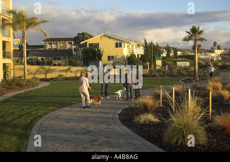 Passanten, die ihre Hunde auf Klippe trail Spyglass Punkt Pismo Beach und fünf Städte Bereich der zentralen Kalifornien USA Januar 2007 Stockfoto