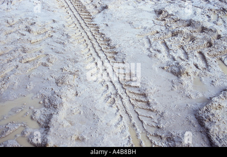 Reifenspuren von Traktoren und Anhängern oder zweiachsige Fahrzeuge durch nassen, rutschigen kalkhaltigen Schlamm oder Gülle Stockfoto