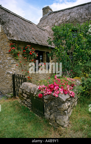 Blumen und Reetdachhaus Kerhinet Brittany France Stockfoto