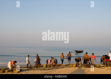 Sortieren von Sardinen und Mackeral aus ihren Netzen in Benaulim Beach Goa-Fischer Stockfoto