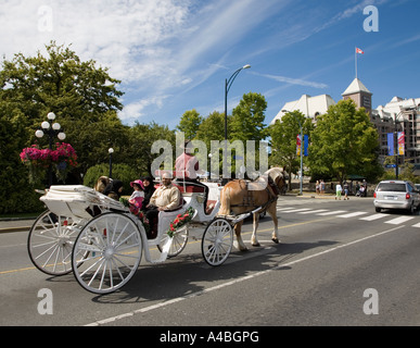 Touristen in Pony und Falle unter Führung der Stadt Victoria, Kanada Stockfoto