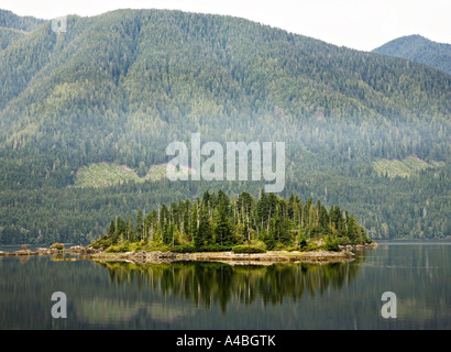 Nebligen Szene in den frühen Morgen in Port Alice auf Westküste Vancouver Island Kanada Stockfoto