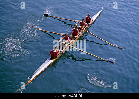 Einzelne Rudern Skiff-Rennen auf dem Fluss Neckar Heidelberg Deutschland Stockfoto