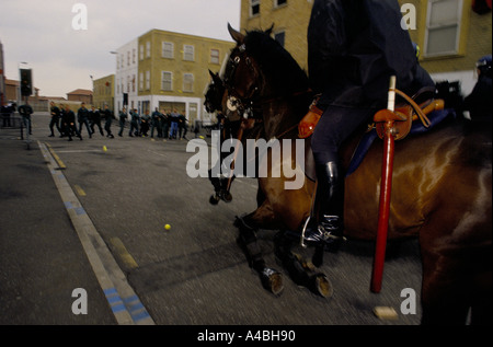 Pferde kostenlos im Metropolitan Police Imber Court montiert Zweig Trainingscenter, Surrey, England Stockfoto