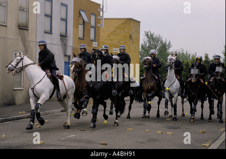 Pferde kostenlos im Metropolitan Police Imber Court montiert Zweig Trainingscenter, Surrey, England Stockfoto