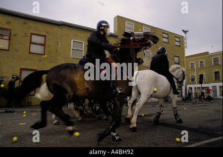 Pferde kostenlos im Metropolitan Police Imber Court montiert Zweig Trainingscenter, Surrey, England Stockfoto