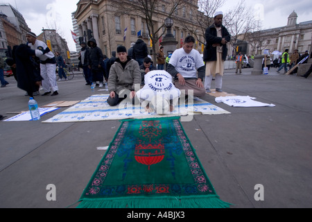 Die betenden islamischen Demonstranten auf dem Trafalgar-Platz demonstrieren über Islamophobie nach der Veröffentlichung des dänischen Cartoons in Jyllands Posten Stockfoto