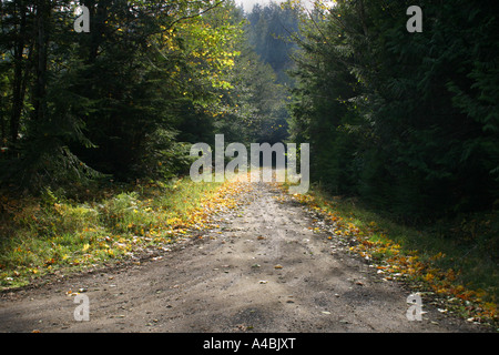 Eine kleine 39,022.09367 Backwoods Schmutz der Straße lädt Sie in den Wald zu folgen Stockfoto