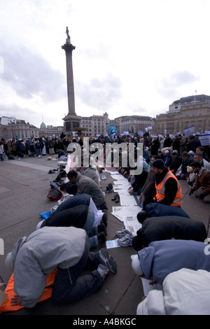 islamische Demonstranten beten auf dem Trafalgar Square London UK bei der Demonstration von Islamophobie nach der Veröffentlichung eines Zeichentrickfilms in der Zeitung Jyllands-Posten Stockfoto