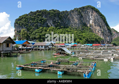 Thailand Phang Nga National Park Village Insel Ko Pannyi Stockfoto