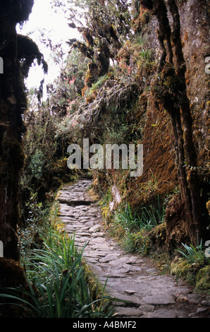 Urubamba-Tal, Peru. Inca Berg Fahrbahn auf dem Inka-Trail nach Machu Picchu. Stockfoto