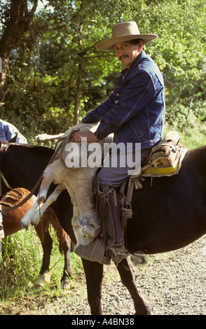 Süd-Chile. Mann auf dem Pferd mit Sporen und Holz Steigbügel tragen ein Schaf auf seinem Pferd. Stockfoto