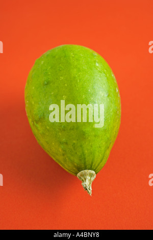 Miniatur-Kürbis auf roten Cucurbita pepo Stockfoto