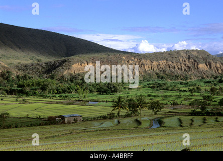 San Ignacio, Peru. Felsvorsprung über fruchtbare Felder auf landwirtschaftlichen Terrassen im Norden Perus. Stockfoto