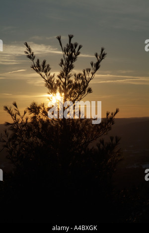 Mount Tom Staat Reservierung in Holyoke, Massachusetts, USA, Metacomet Monadnock M M Trail Stockfoto