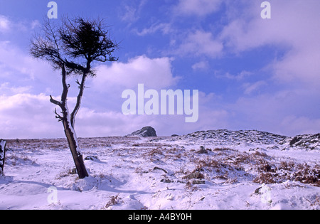 Die düsteren weite von Dartmoor im Winter.  XPL 4703-441 Stockfoto