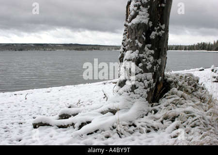 Winter Abstauben auf Lewis Lake, Yellowstone-Nationalpark, wyoming Stockfoto