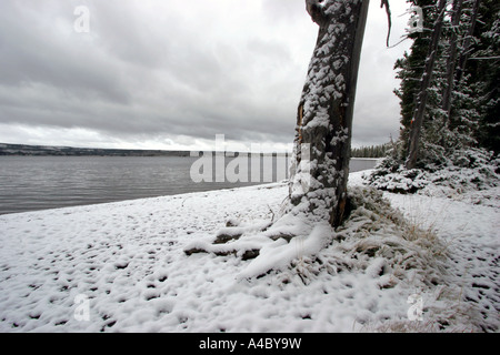 Winter Abstauben auf Lewis Lake, Yellowstone-Nationalpark, wyoming Stockfoto