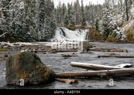 Winter am Fluss Lewis Abstauben fällt, Yellowstone-Nationalpark, wyoming Stockfoto