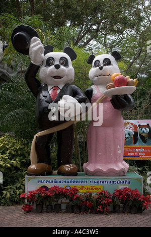 Pandas Chiang Mai Zoo in Thailand Stockfoto