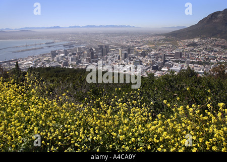 Kapstadt-Panorama (Blick vom vom Signal Hill) Stockfoto