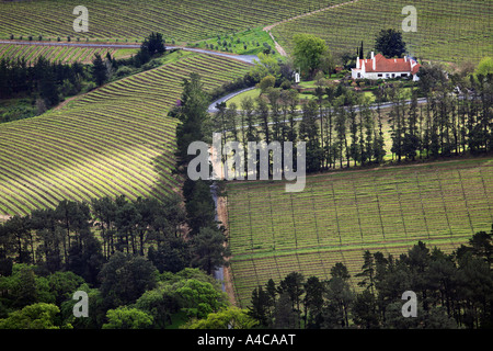 Franschhoek Valley Vineyards in Südafrika Stockfoto