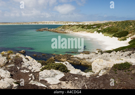 Eine Ansicht von Gypsy Cove und Yorke Bay in der Nähe von Port Stanley auf den Falklandinseln Stockfoto