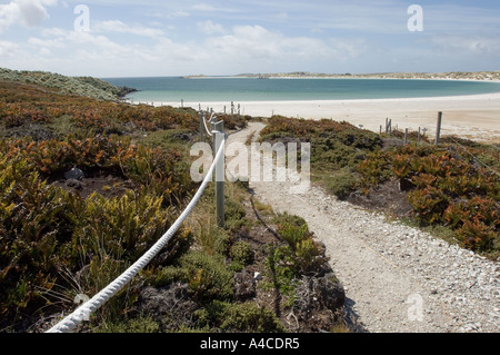 Eine Ansicht von Gypsy Cove und Yorke Bay, in der Nähe von Port Stanley auf den Falklandinseln Stockfoto