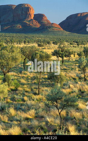 Die Olgas Kata Tjuta nördlichen Territorien Australien Stockfoto