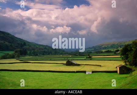 Charakteristische Landschaft von Swaledale Gunnerside North Yorkshire England unter einem grüblerischen Himmel Stockfoto