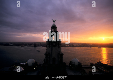 EIN LEBER VOGEL AUF DEM LEBER-GEBÄUDE IST GEGEN DEN HIMMEL SILHOUETTE BEI SONNENUNTERGANG AM ALBERT DOCK, LIVERPOOL, ENGLAND Stockfoto