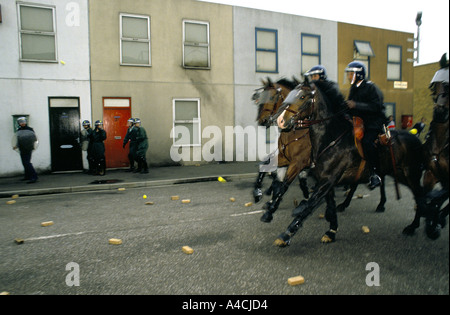 Pferde kostenlos im Metropolitan Police Imber Court montiert Zweig Trainingscenter, Surrey, England Stockfoto