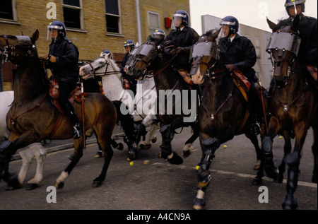 Pferde kostenlos im Metropolitan Police Imber Court montiert Zweig Trainingscenter, Surrey, England Stockfoto