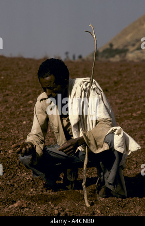 DEN TÄGLICHEN KAMPF UMS ESSEN MIT DEM KOMMEN EINER NEUEN HUNGERSNOT MESHAL DORF, MAI 1991. GEBREMARIAM GOYTEM PRÜFUNG SEINEN BODEN Stockfoto