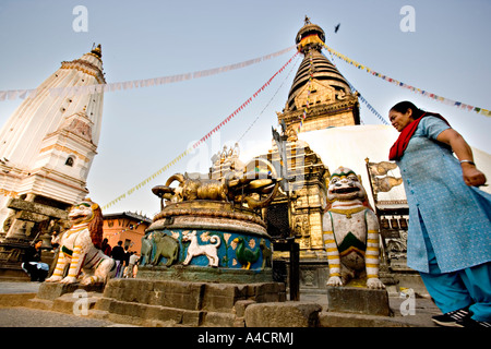 Affen Tempel Kathmandu Nepal Stockfoto