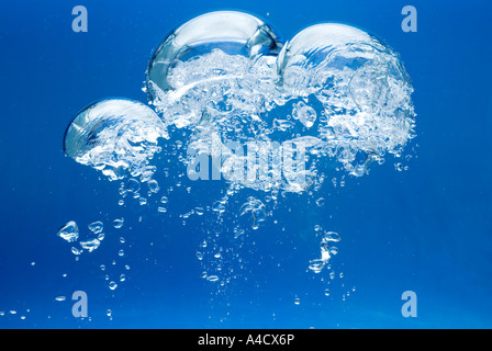 eine große helle Luftblase und viele der kleinen vor blauem Hintergrund steigen zur Wasseroberfläche Stockfoto