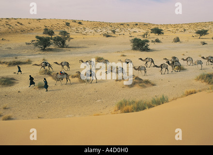 Tuareg Salz Wohnwagen in großen Sahara Wüste Reise von Taodeni nach Timbuktu Mali. Stockfoto