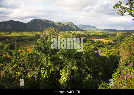 Blick über das Tal von Vinales und Mogotes, Provinz Pinar Del Rio, Kuba Stockfoto