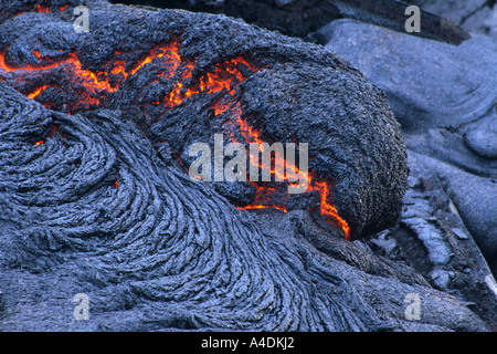 Kühlung Pahoehoe-lava Formationen auf Kilauea - Volcanoes National Park Hawaii, USA Stockfoto