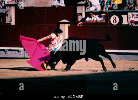 Ein Matador Kämpfe in der Arena Las Ventas, Madrid, Spanien Stockfoto