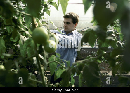 Ein Mann, in den Garten der Leyhill Gefängnis unter freiem Himmel, Vereinigtes Königreich Stockfoto