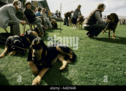 Besitzer mit Hunden beim Bloodhound-Wettbewerb in Ascot, Großbritannien Stockfoto