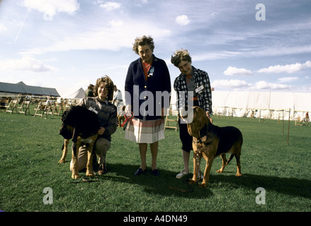 Eine Richterin präsentiert eine Rosette für Besitzer mit ihren Hunden beim Bloodhound-Wettbewerb in Ascot, Großbritannien Stockfoto