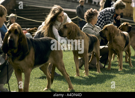 Eigentümer, die Schlange ihre Hunde beim Bloodhound-Wettbewerb in Ascot, Großbritannien Stockfoto