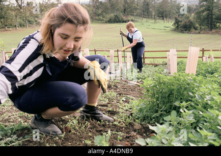 Insassen in den Gärten am East Sutton arbeiten öffnen Sie Gefängnis Stockfoto