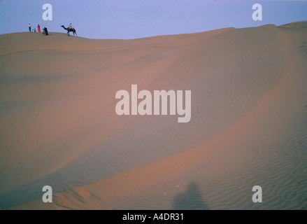 Sanddünen in der Wüste Thar, Rajasthan, Indien Stockfoto