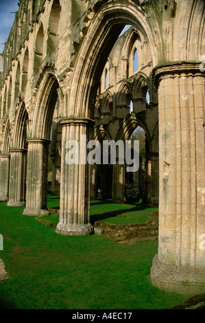 Rievaulx Abtei North Yorkshire England Stockfoto