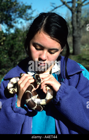 22298 ein Mädchen 13 Jahre alt hält gemeinsame Lampropeltis getulus kingsnake San Mateo County California USA Stockfoto